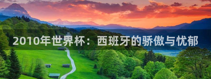 2026年世界杯直播平台:2010年世界杯:西班牙的骄傲与忧郁
