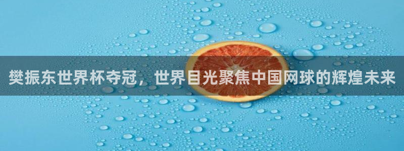 世界杯足球赛2026赛程时间:樊振东世界杯夺冠,世界目光聚焦中国网球的辉煌未来