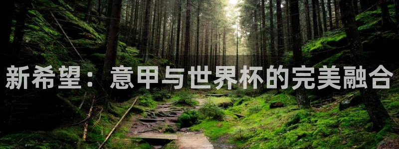 欧洲世预赛赛程表:新希望:意甲与世界杯的完美融合