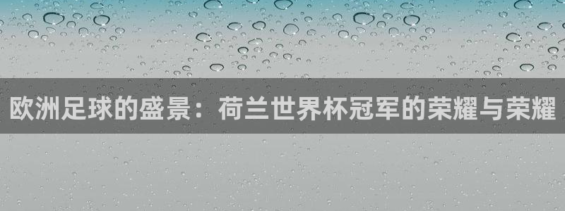 2026世界杯预选赛:欧洲足球的盛景:荷兰世界杯冠军的荣耀与荣耀