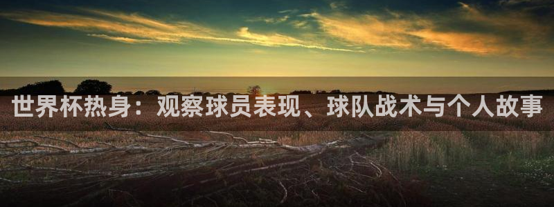 世界杯时间:世界杯热身:观察球员表现、球队战术与个人故事
