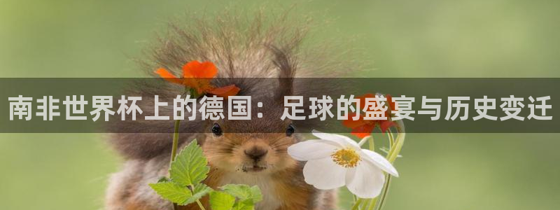 世界杯16强赛程表:南非世界杯上的德国:足球的盛宴与历史变迁
