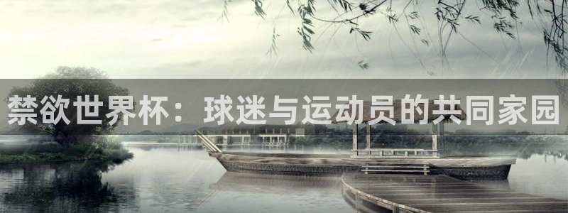 世界杯2026赛程时间表格:禁欲世界杯:球迷与运动员的共同家园