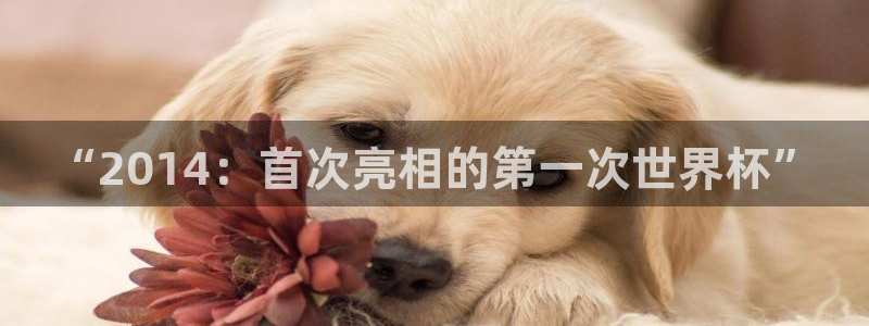 免费看足球直播比赛:“2014:首次亮相的第一次世界杯”