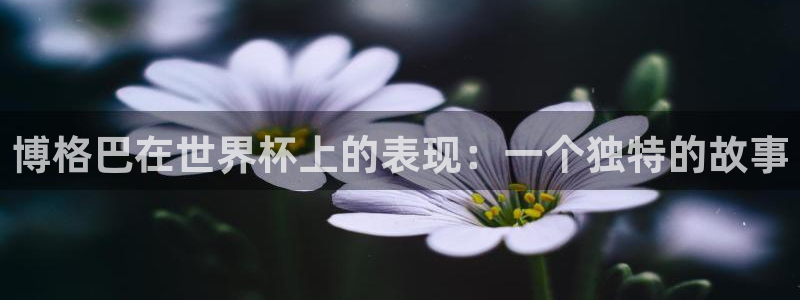 2026男足世界杯赛程:博格巴在世界杯上的表现:一个独特的故事