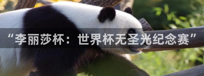 世界杯直播:“李丽莎杯:世界杯无圣光纪念赛”