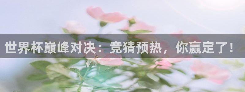 世界杯48支球队赛制:世界杯巅峰对决:竞猜预热,你赢定了!