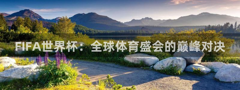 足球世界杯2026:FIFA世界杯:全球体育盛会的巅峰对决